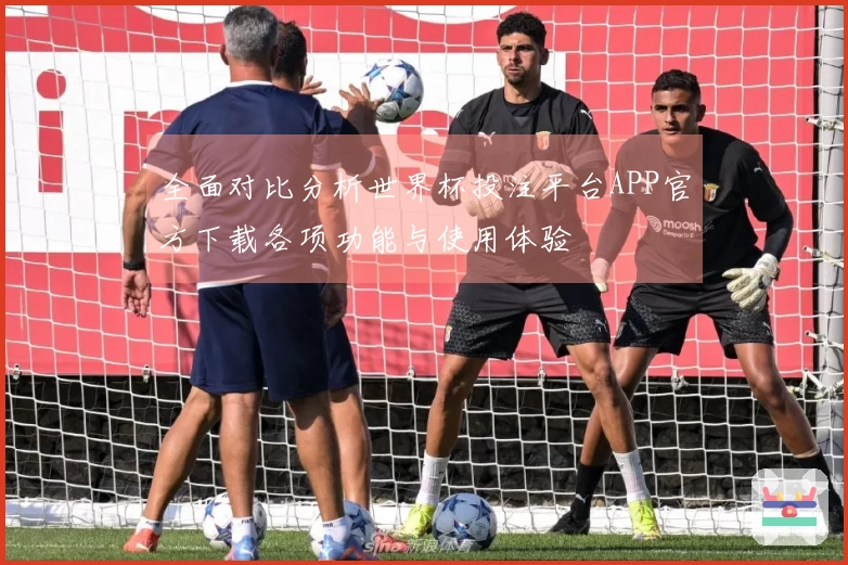 全面对比分析世界杯投注平台APP官方下载各项功能与使用体验