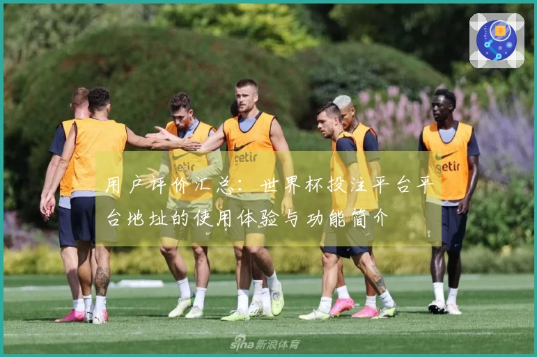 用户评价汇总：世界杯投注平台平台地址的使用体验与功能简介