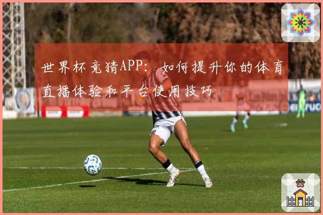 世界杯竞猜APP：如何提升你的体育直播体验和平台使用技巧