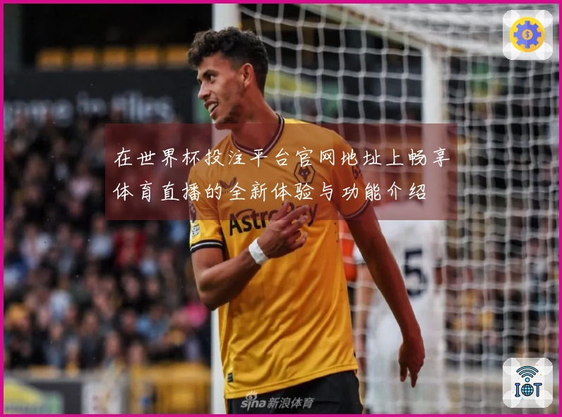 在世界杯投注平台官网地址上畅享体育直播的全新体验与功能介绍