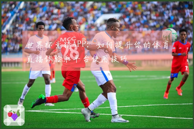 世界杯竞猜APP：如何提升你的体育直播体验和平台使用技巧
