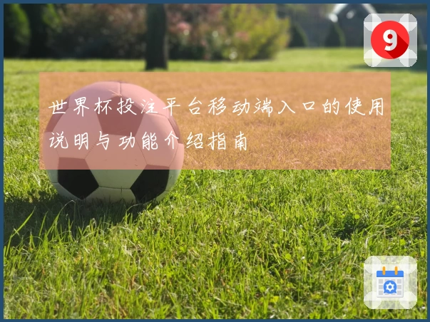 世界杯投注平台移动端入口的使用说明与功能介绍指南