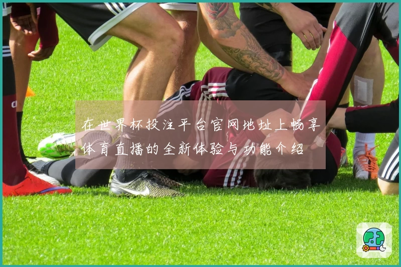 在世界杯投注平台官网地址上畅享体育直播的全新体验与功能介绍