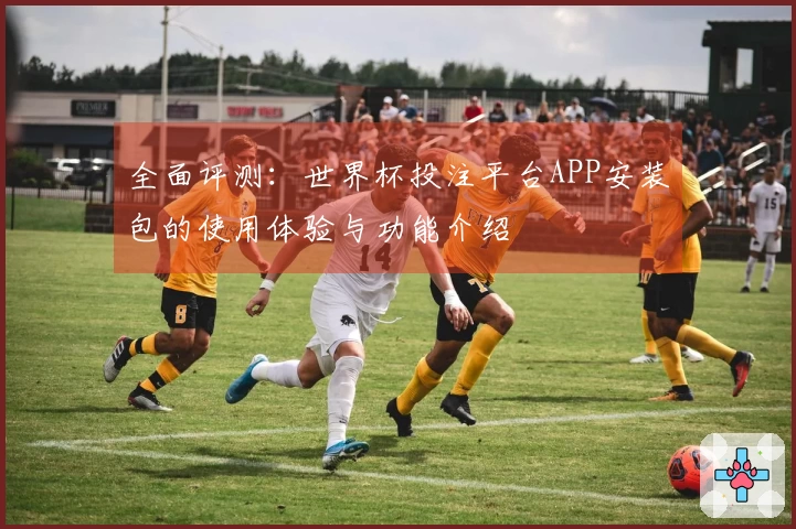 全面评测：世界杯投注平台APP安装包的使用体验与功能介绍