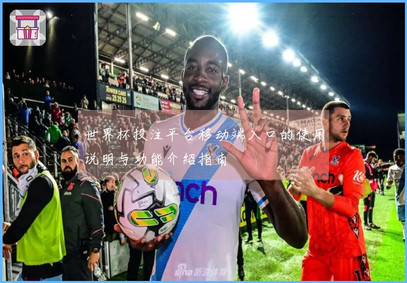世界杯投注平台移动端入口的使用说明与功能介绍指南