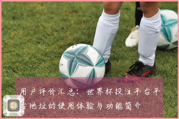 用户评价汇总：世界杯投注平台平台地址的使用体验与功能简介